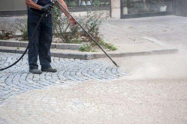 Best Pre-Holiday Cleaning  in Panhandle, TX
