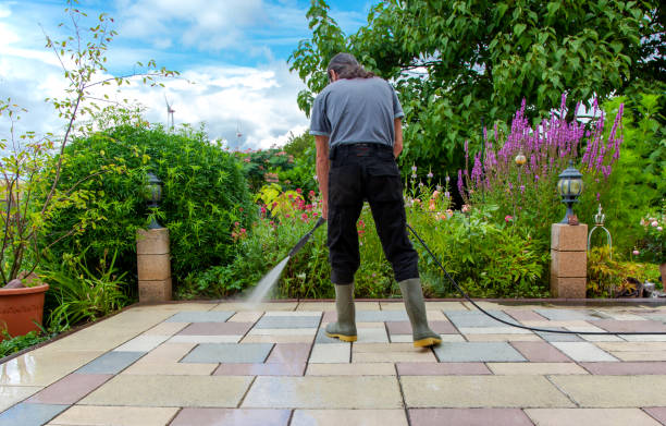 Best Driveway Pressure Washing  in Panhandle, TX