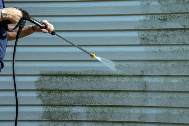 Best Building Exterior Washing  in Panhandle, TX